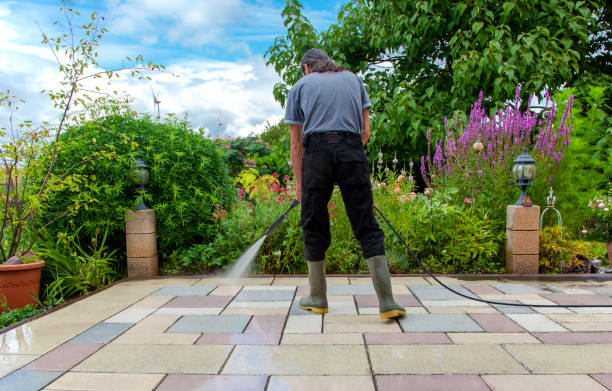 Best Roof Washing  in Clarks Summit, PA